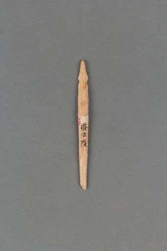 銛頭|Harpoon head
