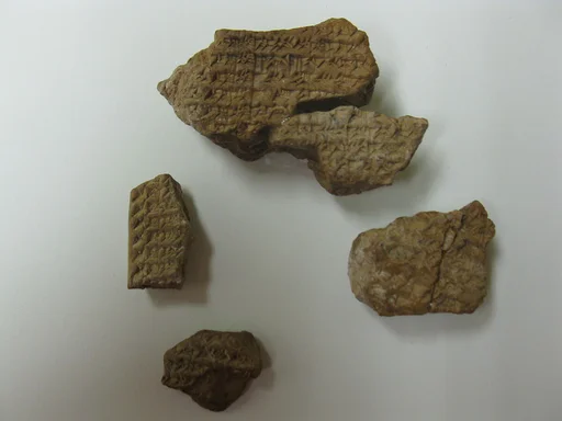 Cuneiform tablet: Shumma izbu, tablet 5
