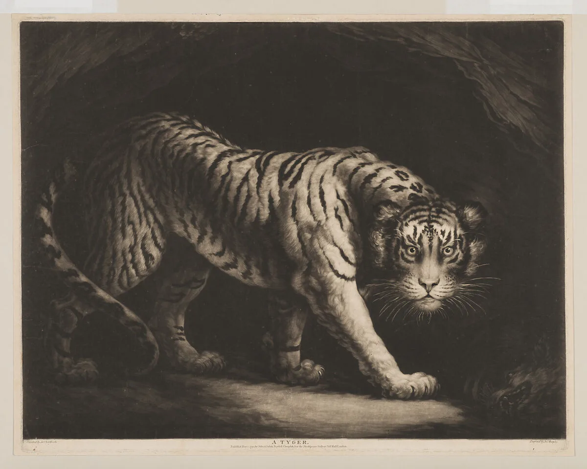 A Tyger — John Murphy|James Northcote|John & Josiah Boydell