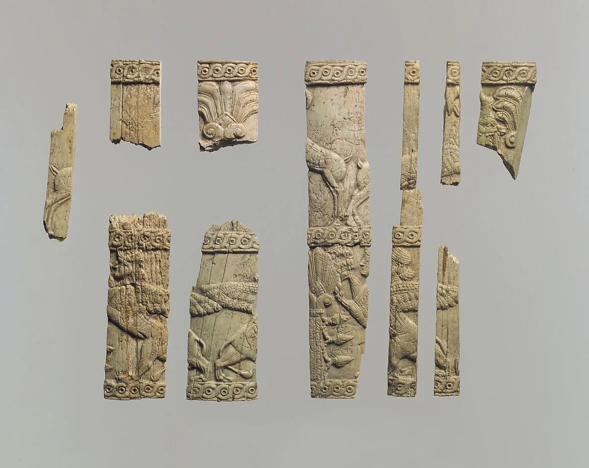 Pyxis fragments — Unknown
