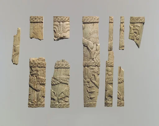 Pyxis fragments