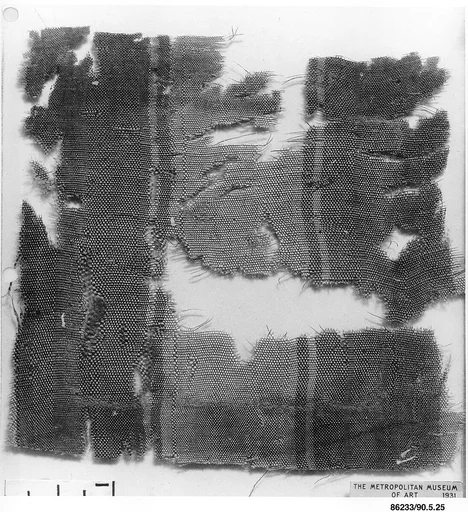 Textile Fragment