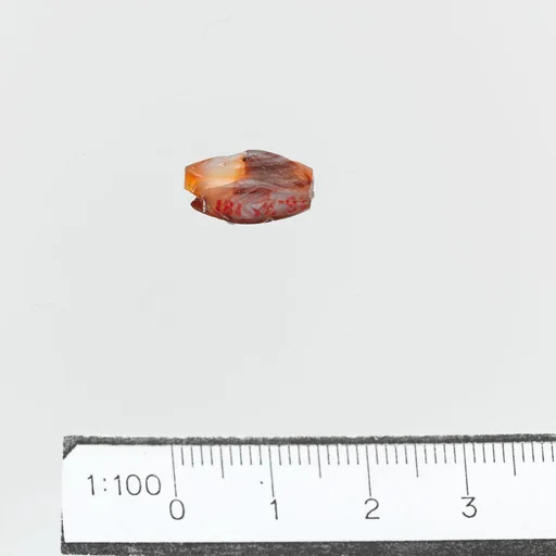 Seal