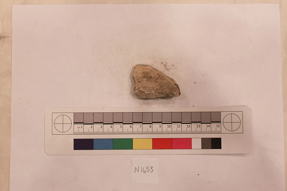 Stucco Fragment — Unknown