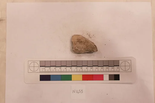 Stucco Fragment