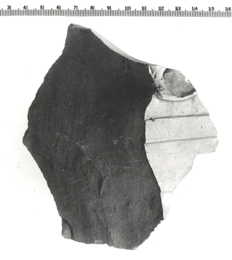Raised relief fragment