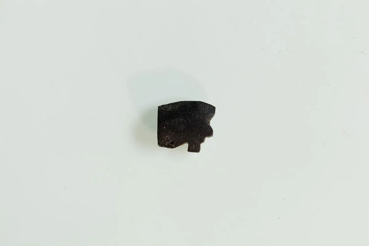 Wedjat eye from string of amulets — Unknown