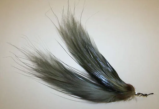 Aigrette