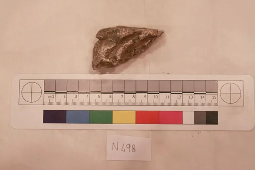 Stucco Fragment