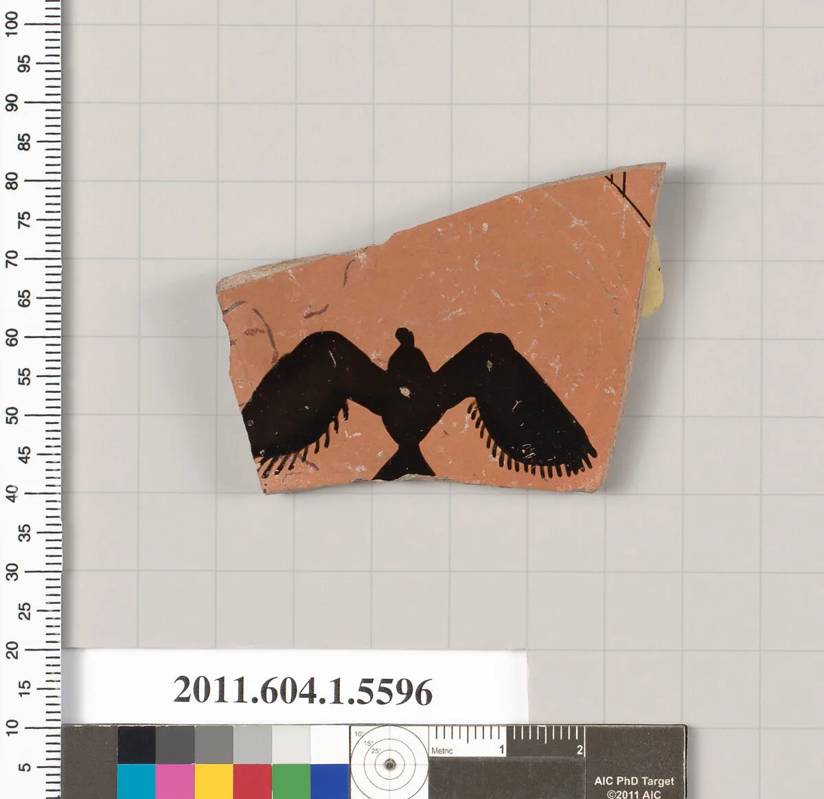 Terracotta fragment of a kylix (drinking cup) — Foundry Painter