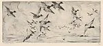 Flight of Blue Bills