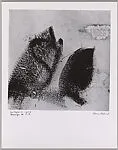 Jalapa 11 1973 (Homage to Franz Klein) — Aaron Siskind