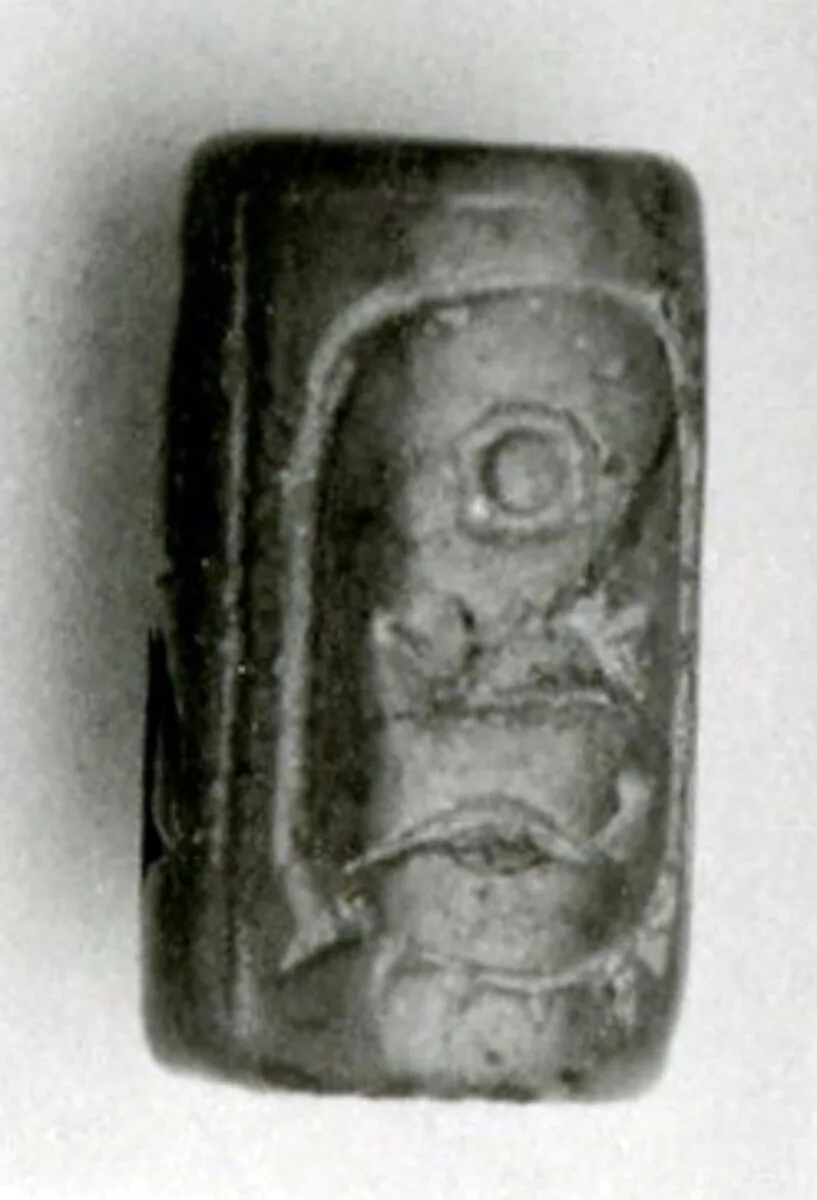 Cylinder seal — Unknown