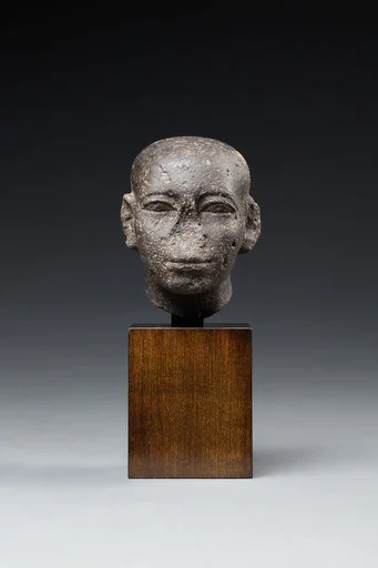 Head of a Man with a Shaved Head
