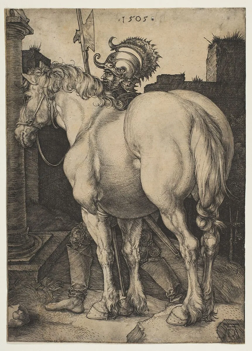 The Great Horse — Albrecht Dürer