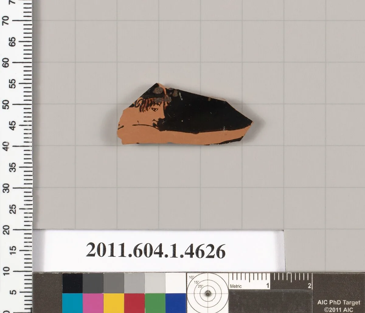 Terracotta fragment of a kylix (drinking cup) — Unknown