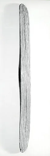 Shield