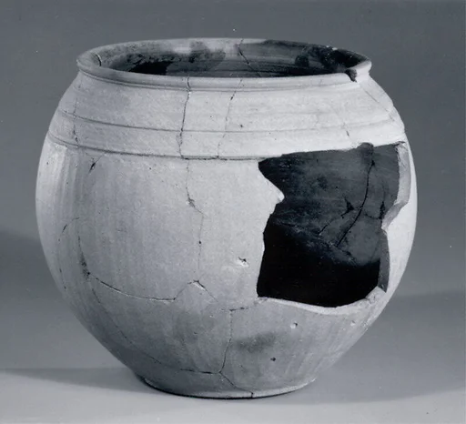 Globular jar