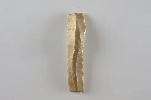 Sickle Insert