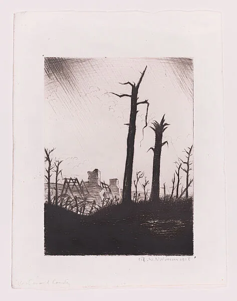 Reclaimed Country — Christopher Richard Wynne Nevinson