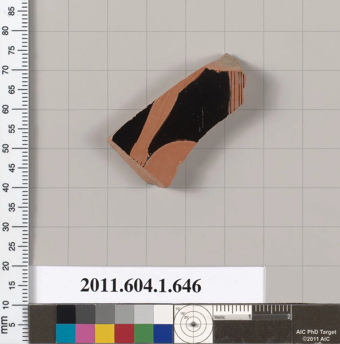 Terracotta fragment of a kylix (drinking cup) — Unknown