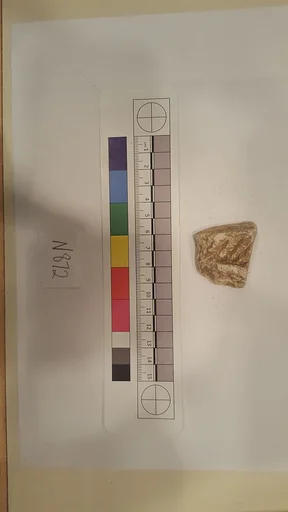 Stucco Fragment