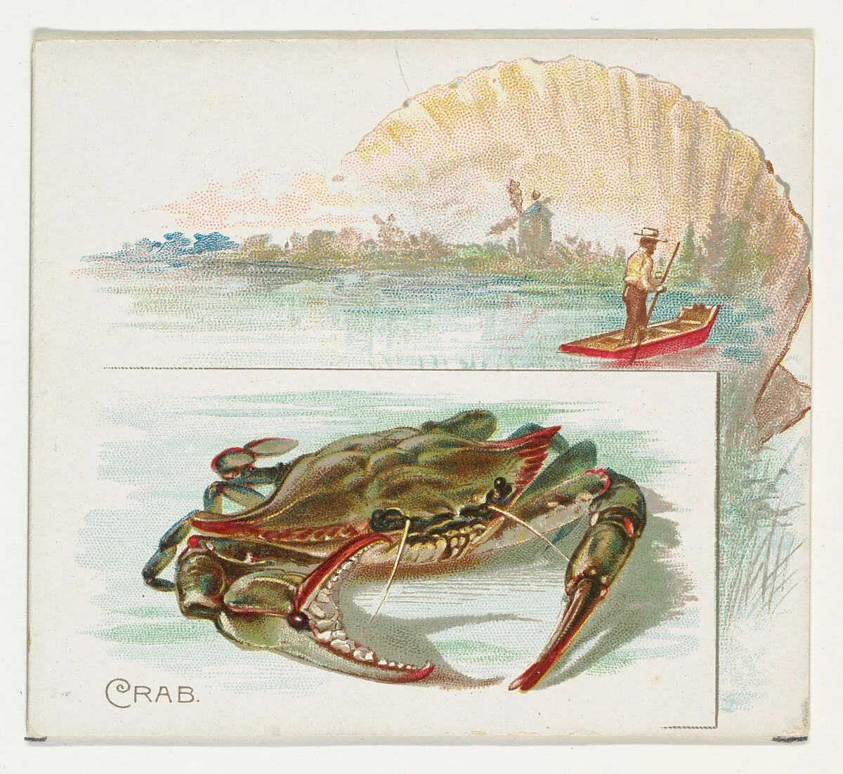Crab, from Fish from American Waters series (N39) for Allen & Ginter Cigarettes — Allen & Ginter|Lindner, Eddy & Claus