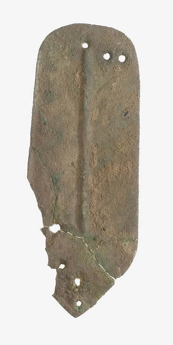 Scale from Armor — Unknown