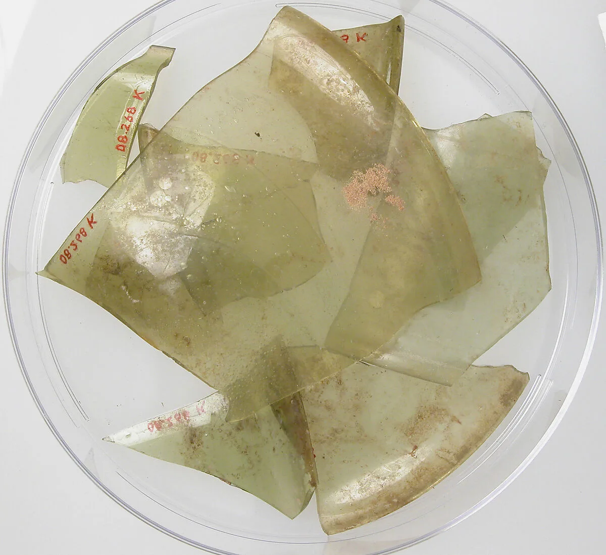 Glass Fragments from a Vessel — Unknown