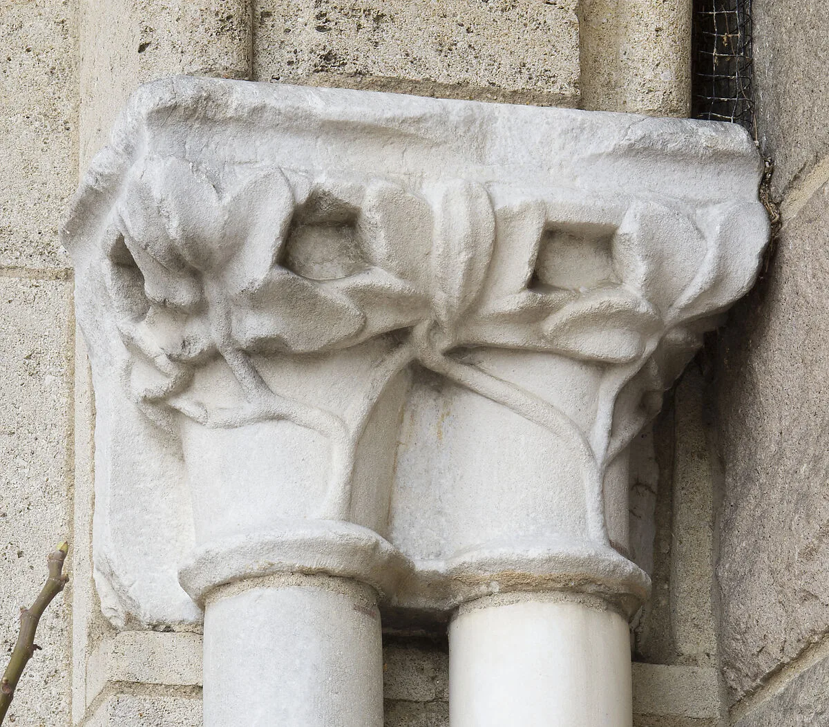Double Capital — Unknown