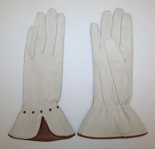 Gloves