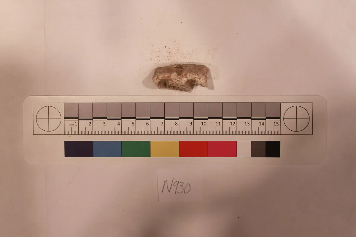 Stucco Fragment — Unknown