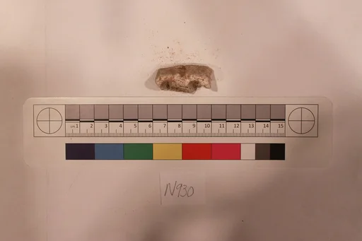 Stucco Fragment