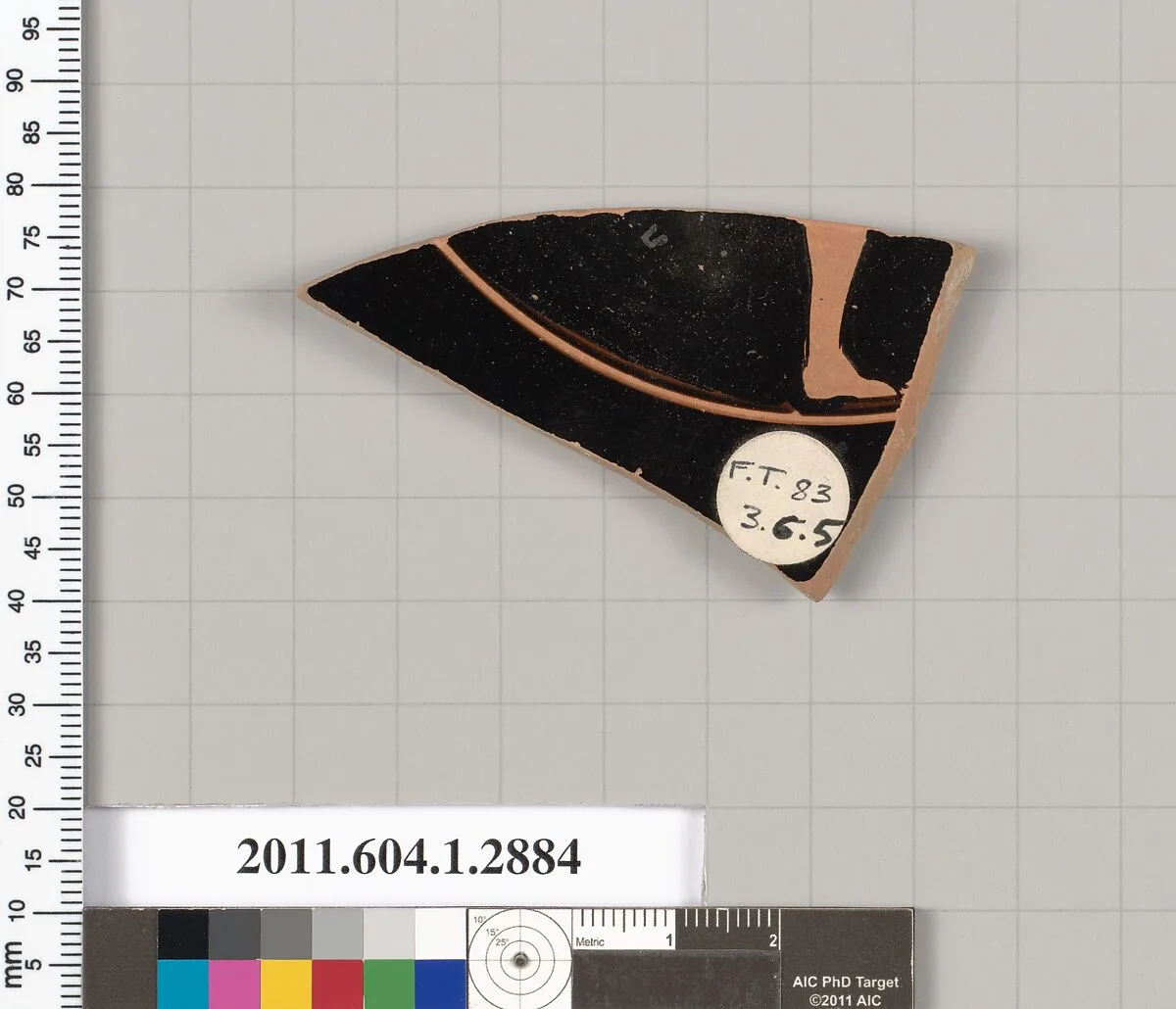 Terracotta fragment of a kylix (drinking cup) — Unknown