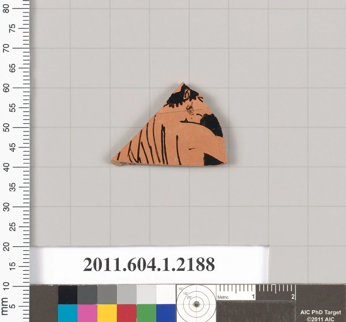 Terracotta fragment of a kylix (drinking cup) — Unknown