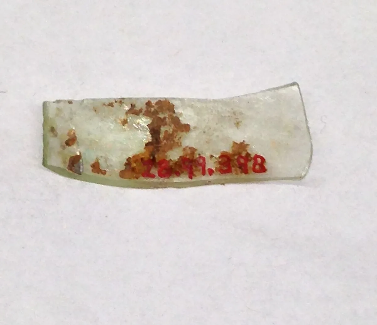 Fragment — Unknown