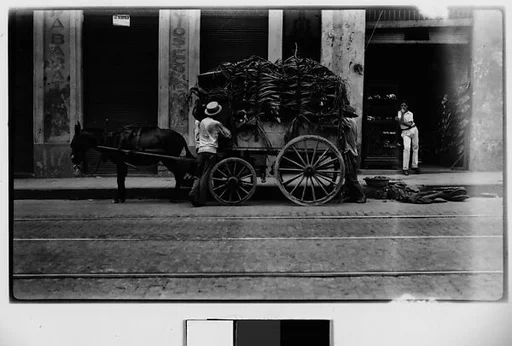 [Vendors and Covered Cart with Mule, Havana]