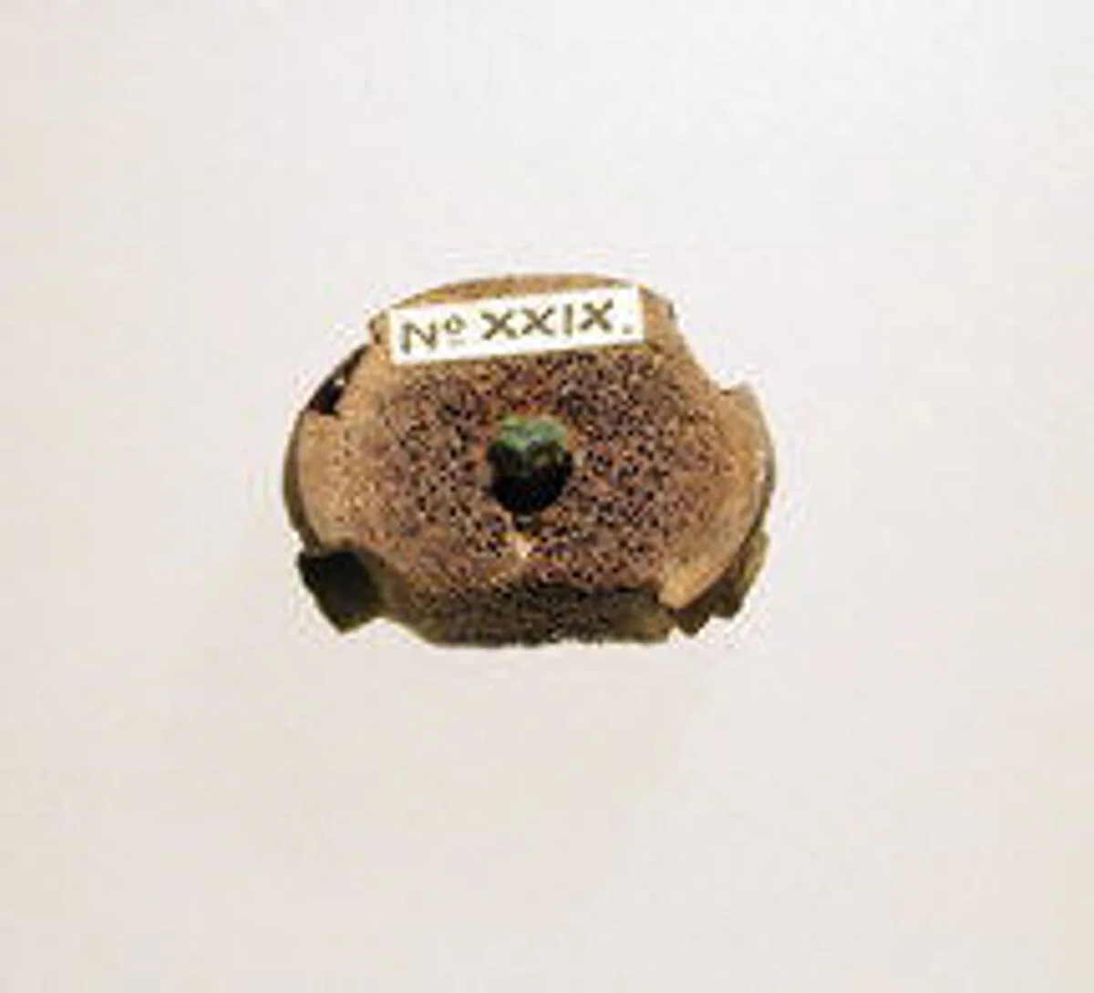 Fibula, fragment — Unknown