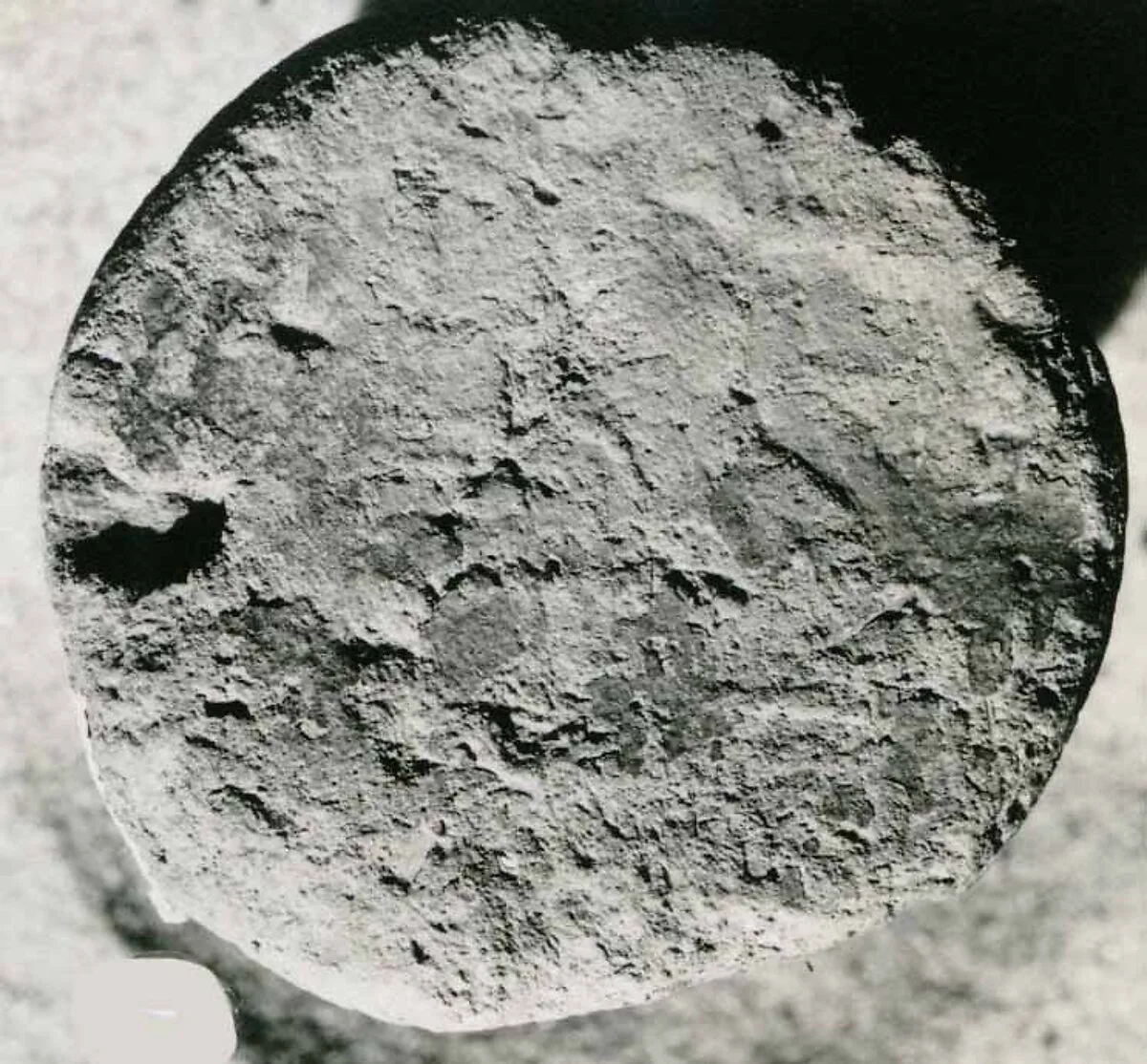 Funerary Cone of the Steward of the Vizier Amenemhat — Unknown