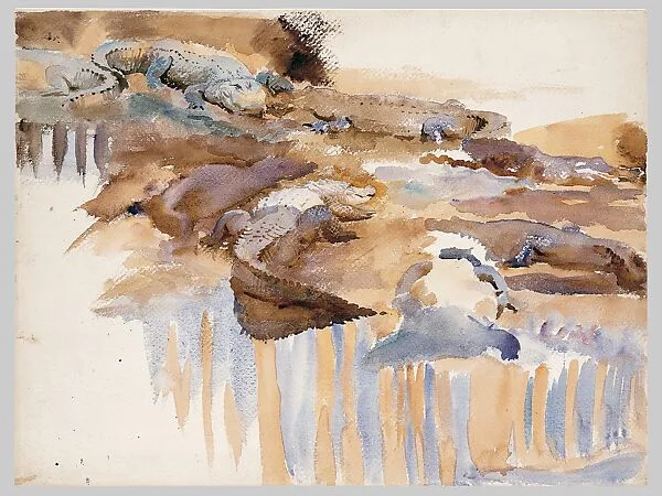 Alligators — John Singer Sargent