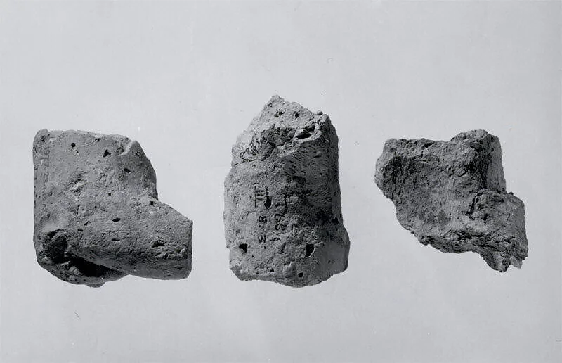 Fragments of animal figurines — Unknown