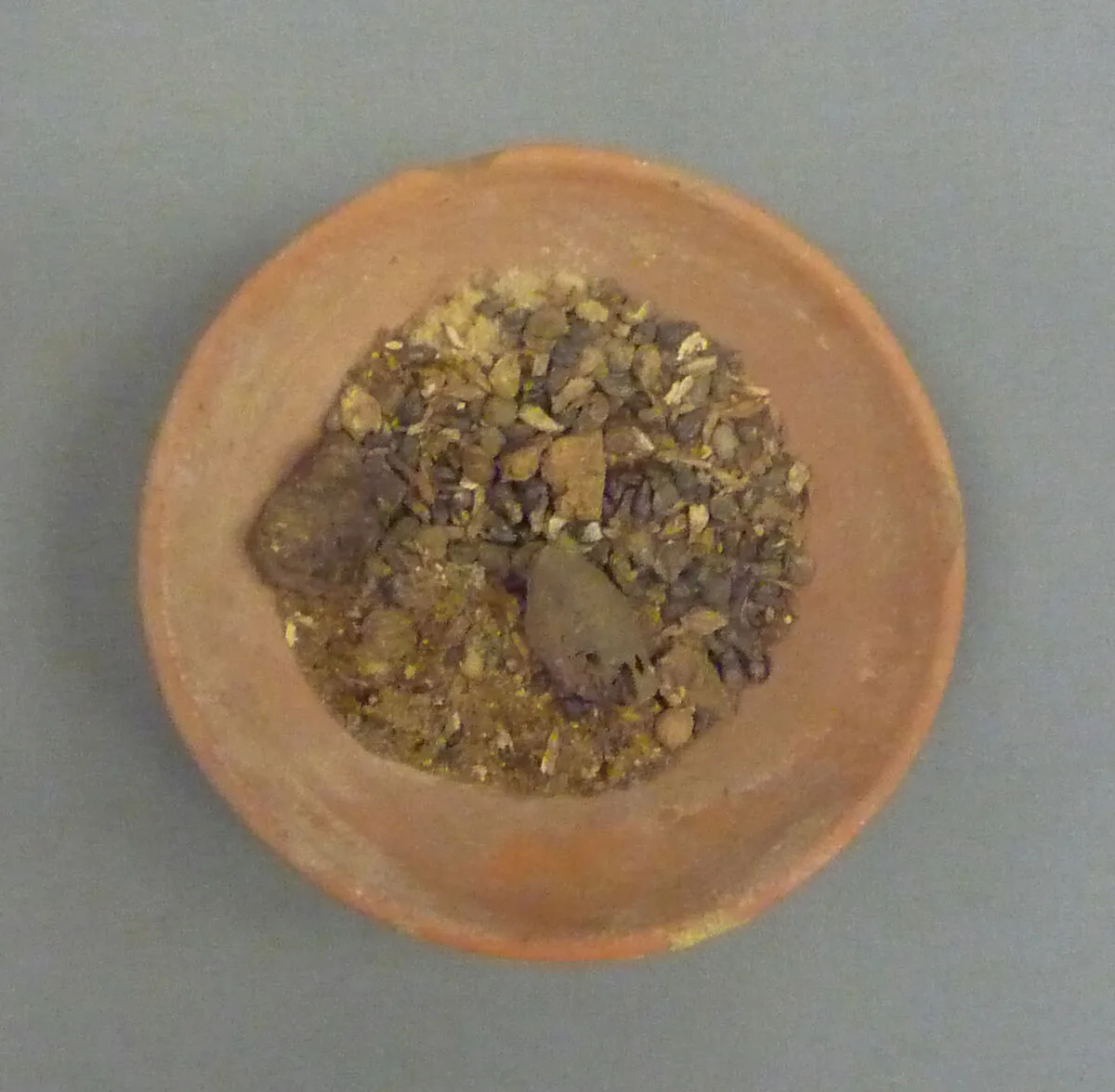Bowl of Grapes and Figs — Unknown