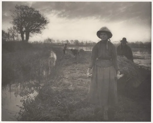 Poling the Marsh Hay