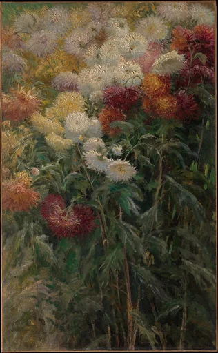 Chrysanthemums in the Garden at Petit-Gennevilliers