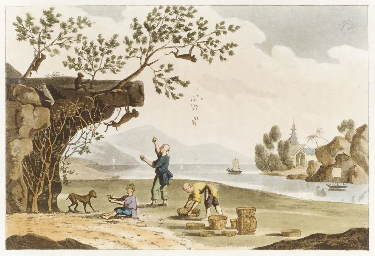 The Repository of Arts, Literature, Fashions, Manufactuers, &c., 2nd series, volume 12 — Rudolph Ackermann, London