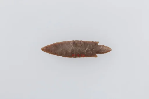 Projectile Point