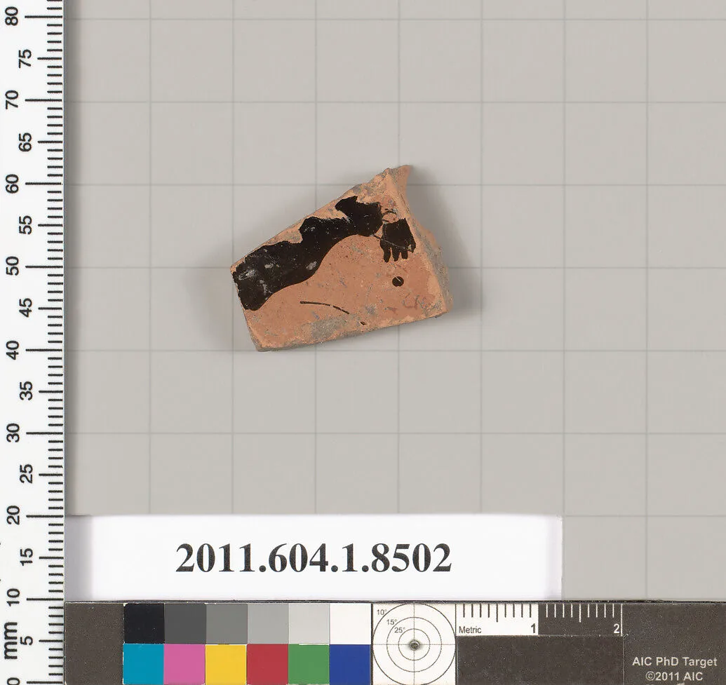 Terracotta fragment of a stemless kylix (drinking cup) — Unknown