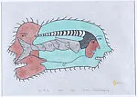 Sea Birth — Irene Avaalaaqiaq Tiktaalaaq