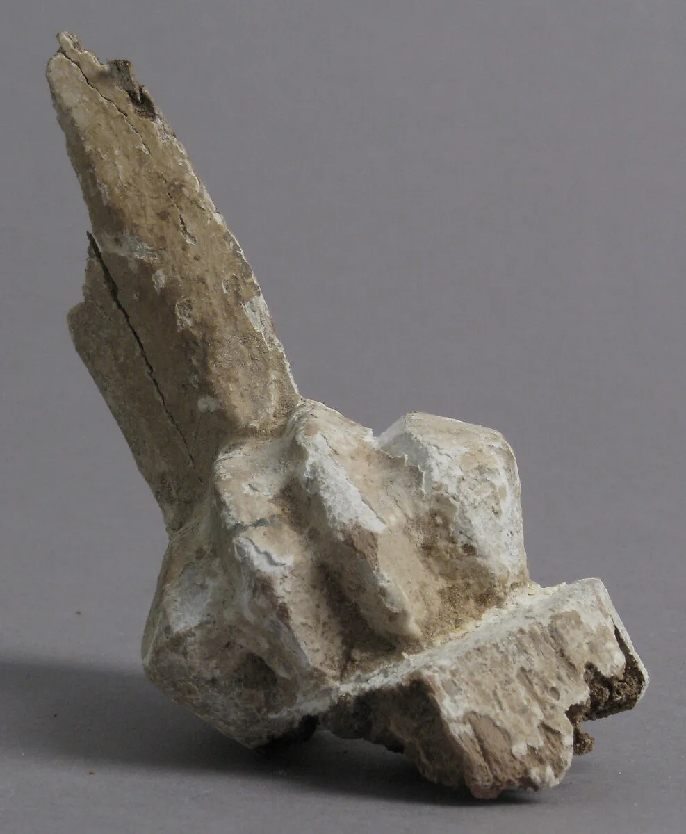 Claw Fragment — Unknown