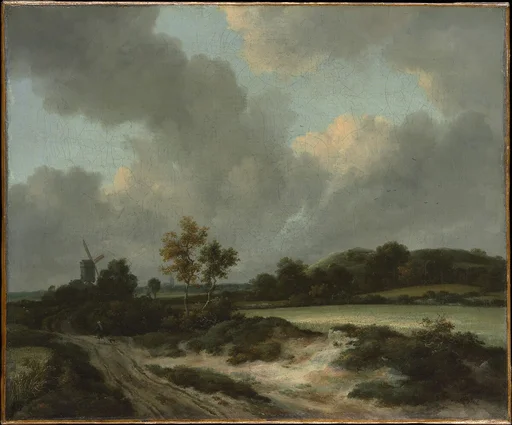 Grainfields